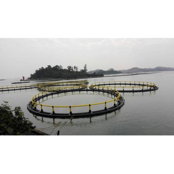 10m 50m Diameter Round Environmental Friendly Floating Cage System for Fish Farming and Eco-Friendly
