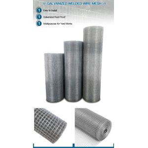 Direct Supply Stainless Steel Welded Wire Mesh Roll Galvanized Welding for