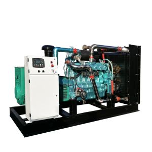 60kw 100kw Biogas Generator Set with Factory Price