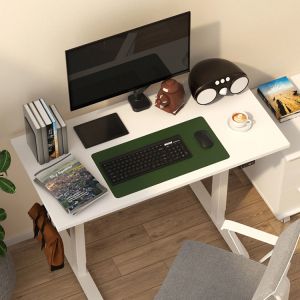 Single or Dual Motor Electric Sit Stand Up Desk for White Wooden Laptop Gaming