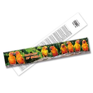 Wholesale 3D Lenticular Printing Plastic Ruler Lenticular Printing Ruler Accept