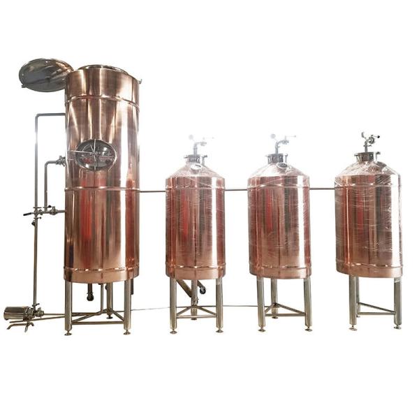 Customized Capacity GHO Fermentation Tank for Beer Processing Fermenting