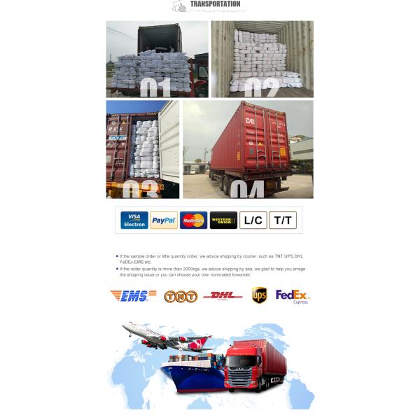 NE 24s/26s Cotton Circular Knitting Yarn
