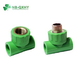 PPR Tee Forged Brass PPR Pipe Fitting Female Male for Hot Water Distribution