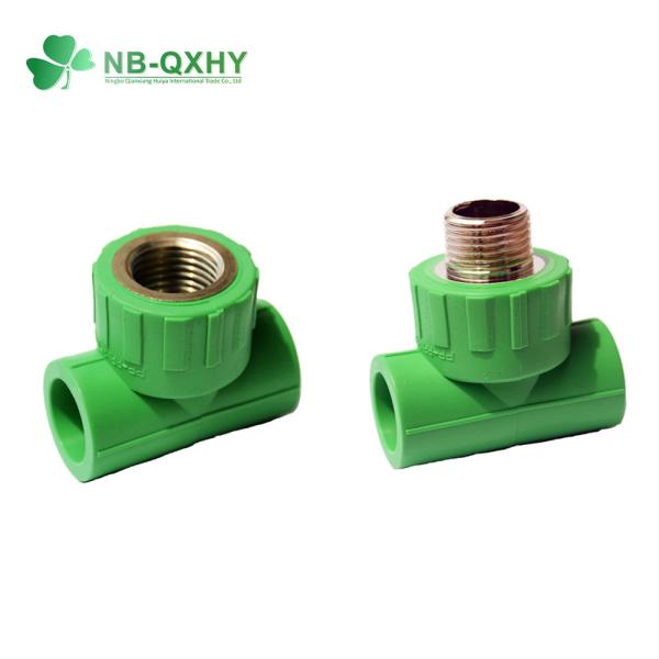 PPR Tee Forged Brass PPR Pipe Fitting Female Male for Hot Water Distribution