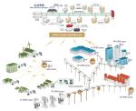 Advanced Metering Solutions Practical Flexible Expandable Data Read Remote