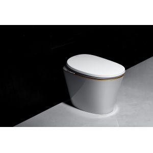 Siphon Jet Flushing Bathroom Smart Toilet With Reciprocating Cleaning Function