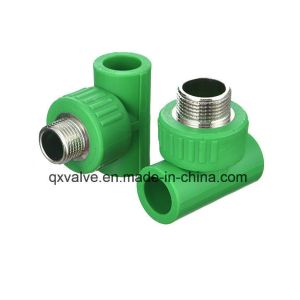 Round UV Protection PP-R Coupling For Pipe And Pipe Fittings