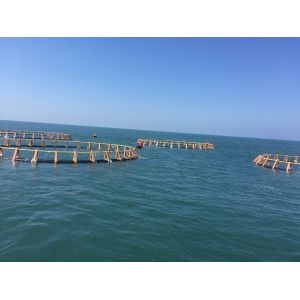 Deep Open Sea HDPE Triangular Brackets Fish Cage with 315mm Floating Pipe in