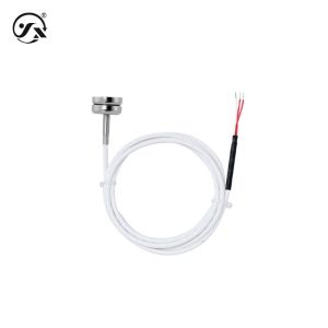 CWDZ00Y Platinum Resistance Temperature Sensor IP68 General industry Use