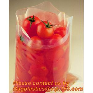 TWIRLEM BAG, STERILE BAG, STOMACHER OPEN TOP BAG, FILTERED BAGS, FILTER BAG,