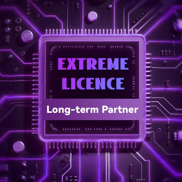 Extreme license VX-9000-ADP-256 Virtualized Controller Software-Based WLAN