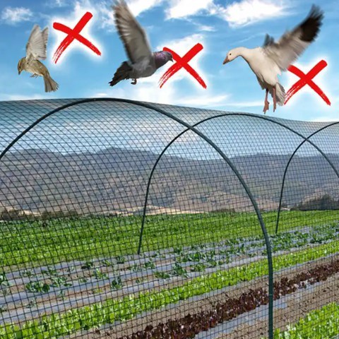 Seamless Borderlines Anti Bird Net With Good Materials And Various Mesh Sizes