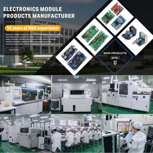 Private Mold NO 2 2.0 Channels 100W BT Mono Amplifier Board for Home/Car HiFi