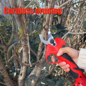 China Electric High Branch Pruning Set Lithium Battery Cordless Handheld Telescopic Pole Tree Branch Pruning Shear Pruner on sale China Electric High Branch Pruning Set Lithium Battery Cordless Handheld Telescopic Pole Tree Branch Pruning Shear Pruner on sale