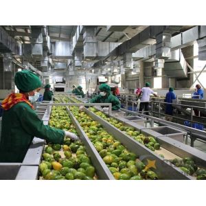High Quality Customized Mango Juice Processing Machine Mangga/Mango Pulp