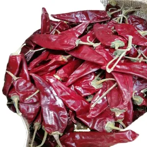 Wholesale 500 SHU Hot Yidu Chili With Strong Pungent Chilli Flavor from china suppliers
