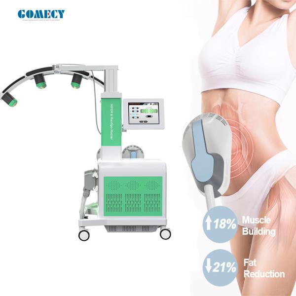 532 nm Diode Cold Laser Fat Removal Machine Fat Reduction Weight Loss Ems Body