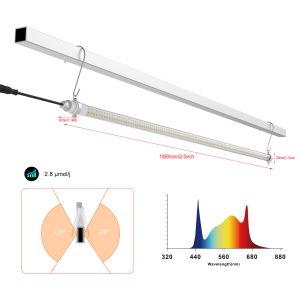 Interlight Greenhouse LED Grow Light For High Wire Crops Boost Yield