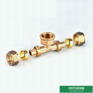 Male Threaded Tee Pex Fittings Brass Color Screw Fittings Customized Designs And