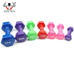 Vinyl Dipping Fitness Equipment Dumbbells With Hexagon Ends 0.5kg-10kg Weight