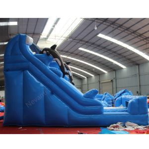 Unisex Inflatable Dry Slide Customized Size Inflatable Castle Slides for Water