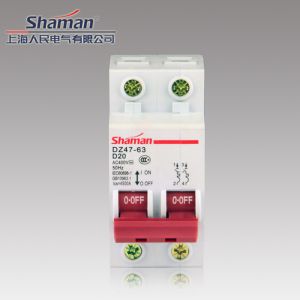 High quality good price DZ47-63D-2P-20A Mini circuit breaker,murray circuit