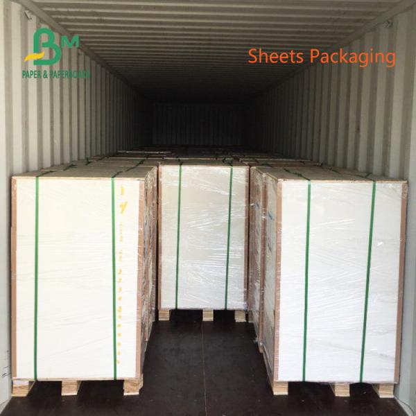 170g 190g 210g Watertight PE Coating Cup Paper 550mm Roll FDA Approved 170g 190g 210g Watertight PE Coating Cup Paper 550mm Roll FDA Approved