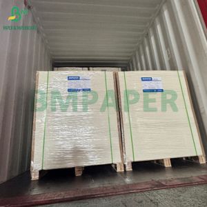 0.5mm Coated White Absorbent Paper 275g + 15g PE Matt Coating One Side