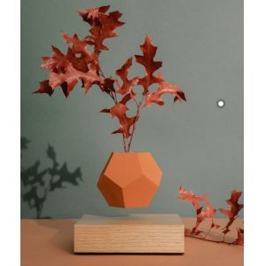 Creative Design Levitation Bonsai ,floating plant pot ,magnetic levitation
