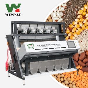 High Accuracy CCD Camera Small Sunflower Seed/Nuts Color Sorter Color Sorting