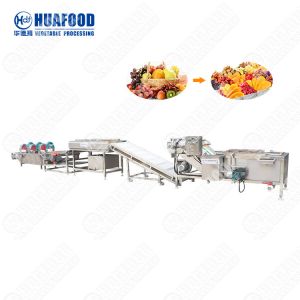 Multi-Function Multi-Function Potato Processing Line Vegetable And Fruit Washing