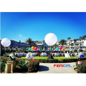 Customizable 220V LED Inflatable Event Lighting Balloon For Exhibition