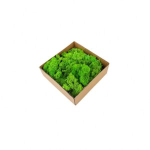 All Colors Preserved Natural Moss Balls With Long Preserving Time
