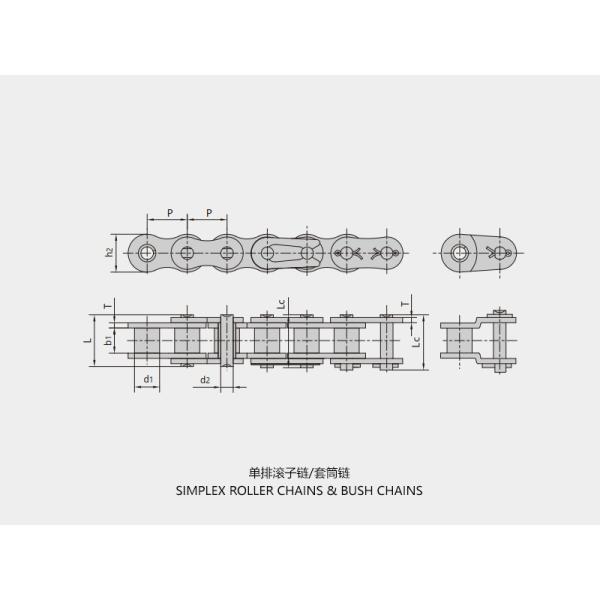 Short Pitch Precision Roller Chains