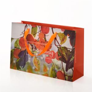 Wholesale Reusable Paper Carrier Bags Custom Logo Printed With Ribbon Handle from china suppliers