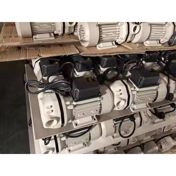 Durable Bernet Stainless Def25s Adblue Pump Urea Pump for Def Dispenser