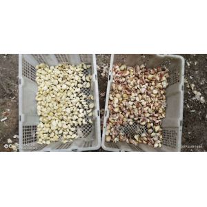 Buckwheat / Barley CCD System Color Sorter Garlic Cloves Color Sorting Machine