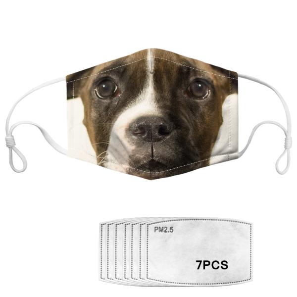 Quality Reusable Dog Pattern Anti Pollution Printed Face Mask for sale