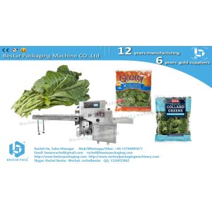 Greens cabbage leafy pouch packaging horizontal servo packing machine