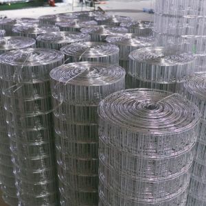 1/2"X1/2" Galvanized Welded Wire Mesh Rolls For Garden Fence