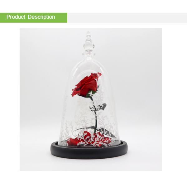 Dried Beauty And The Beast Red Rose In Glass Gift Suitable For Decor Purposes