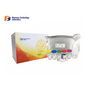 Wholesale ELISA Kit for Human ALP High Specificity and Sensitivity from china suppliers
