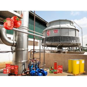 High Temperature Resistance Tomato Processing Line with Customized Capacity and