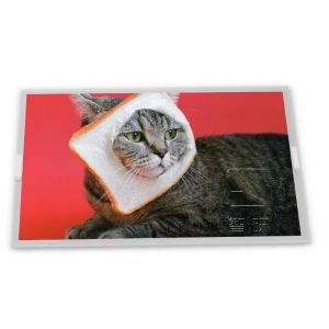 Wholesale M238HVN01.3 23.8-Inch IPS WLED TFT-LCD Screen Panel with LVDS Interface 1920*1080 Resolution LCD Display from china suppliers