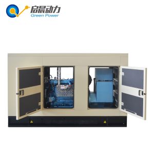 Biogas generator set with CHP