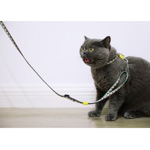 Travel Small Cat Harness And Leash Kitten Lead And Harness