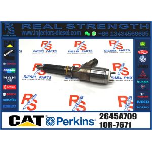 Durable Fuel Injector Assembly 321-3600 320-0677 320-0690 320-0680 2645A709 10R