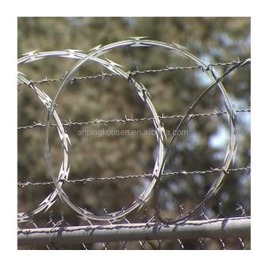 Anti Climb Welded Concertina Blade Razor Wire Fence with Barbed Wire Coil