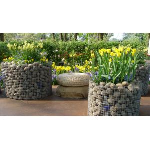 Welded Wire Mesh Roll with Hot Dipped Electro Galvanized Technique and Width of